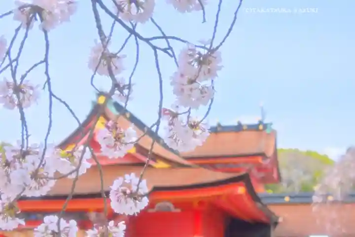 富士山本宮浅間大社(静岡県)