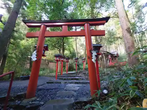 貴船神社結社の鳥居