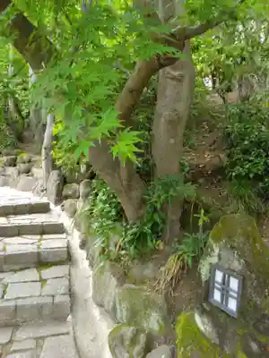 杉本寺(神奈川県)