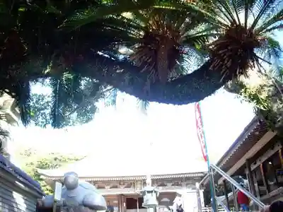 金剛福寺のその他建物