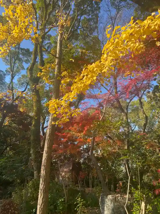 熱田神宮の自然