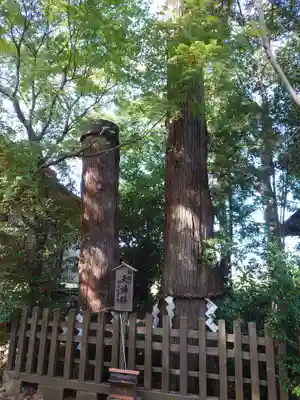 鹿嶋神社の自然