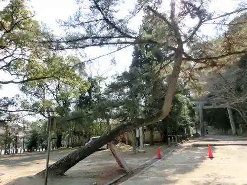 石清水八幡宮のその他建物