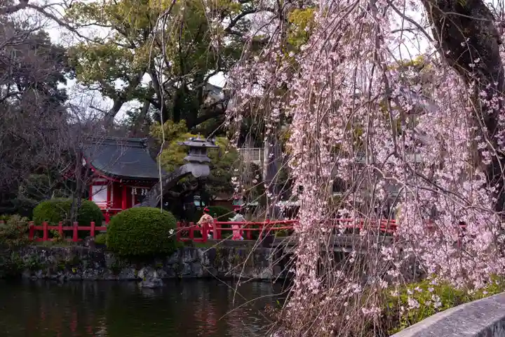 三嶋大社(静岡県)
