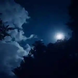 滑川神社 - 仕事と子どもの守り神の景色(2020年10月29日(木) 21時35分26秒投稿)