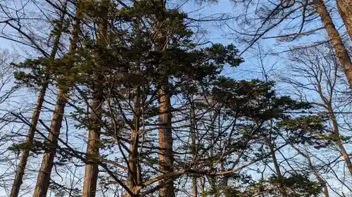 大谷地神社の自然