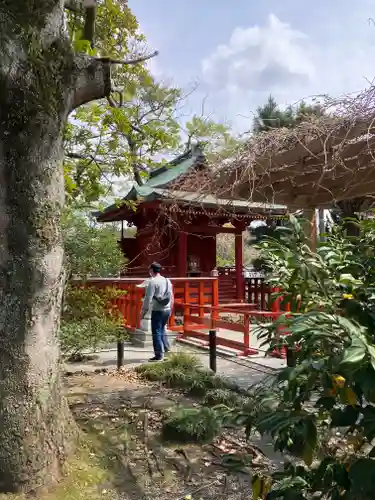 鶴岡八幡宮(神奈川県)