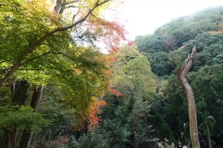 神峯山寺(大阪府)