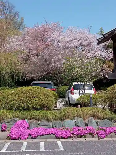 櫻木神社の自然
