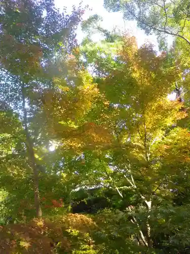 鶴岡八幡宮の自然