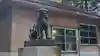 占冠神社の狛犬