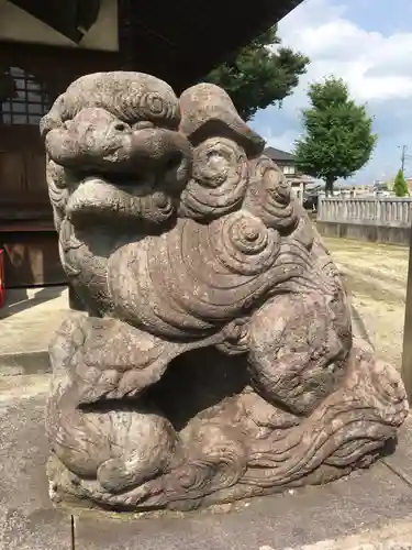 五井若宮八幡神社の狛犬