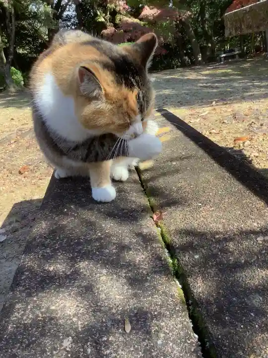玉野御嶽神社の動物