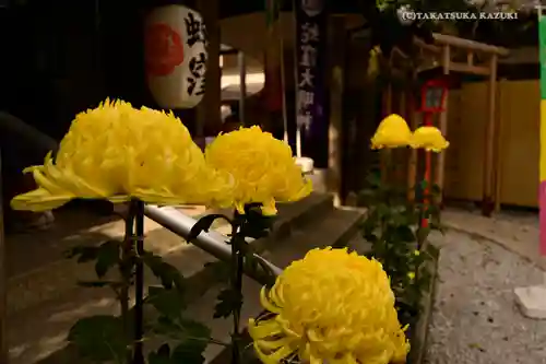 蛇窪神社の庭園