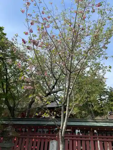 志波彦神社・鹽竈神社(宮城県)