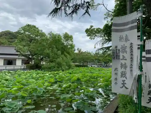 鶴岡八幡宮の庭園