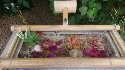 猿田彦神社の手水舎