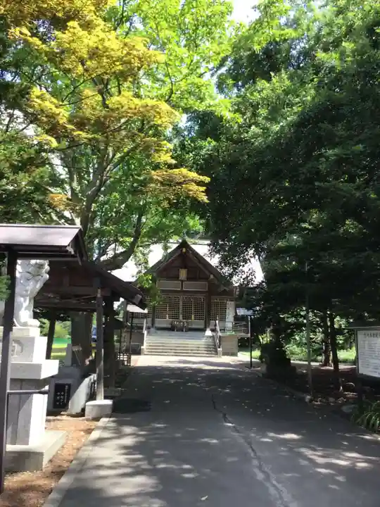 大麻神社の本殿・本堂