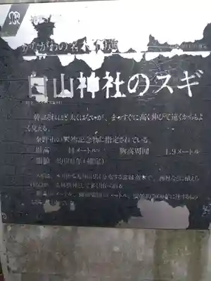 白山神社(神奈川県)