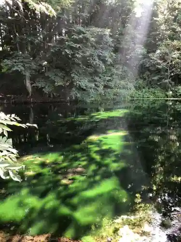 真楽寺の景色