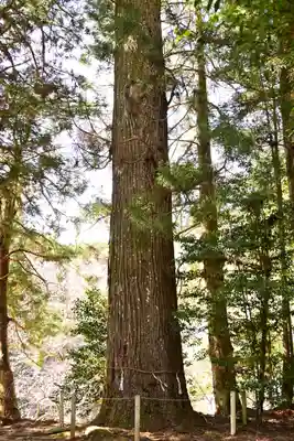 三社神社(愛媛県)