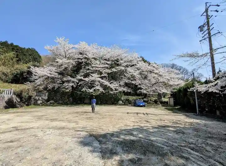 白髭神社の自然