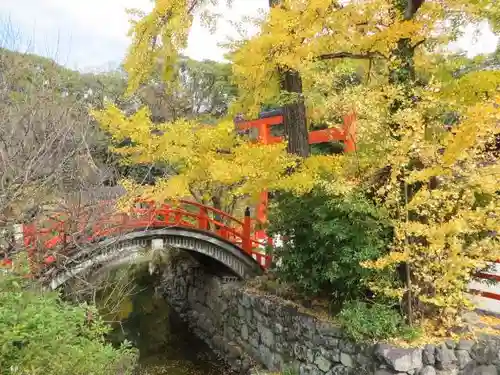 賀茂御祖神社（下鴨神社）の景色