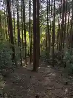 飯縄神社(千葉県)