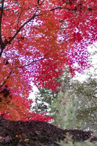 諏訪大社下社秋宮(長野県)