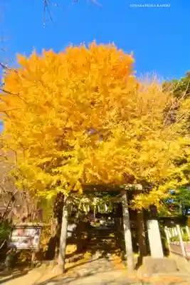 葛原岡神社(神奈川県)