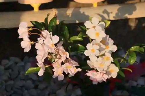 阿久津「田村神社」（郡山市阿久津町）旧社名：伊豆箱根三嶋三社の手水