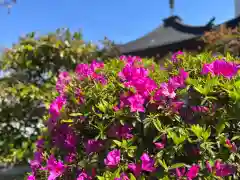 松本山　地福禅寺(滋賀県)