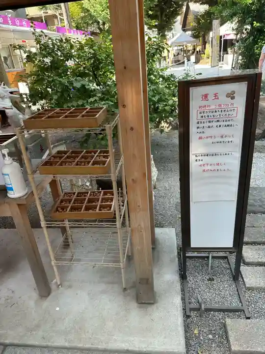 蛇窪神社(東京都)
