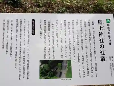 栃上神社の歴史