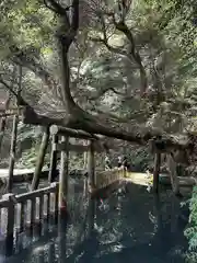 鹿島神宮(茨城県)