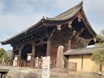 東寺（教王護国寺）(京都府)