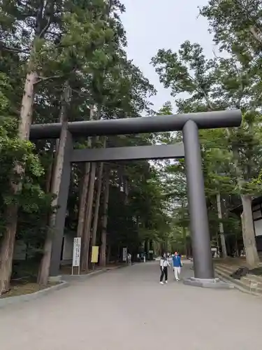 北海道神宮の鳥居