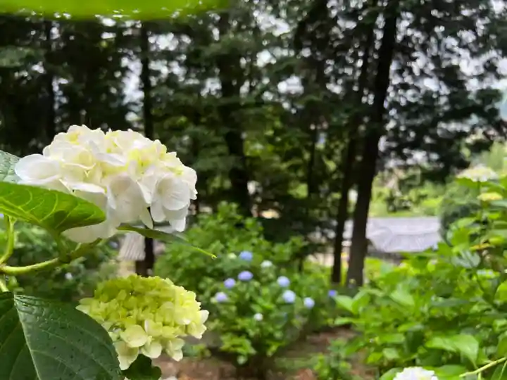 吉備津神社の自然
