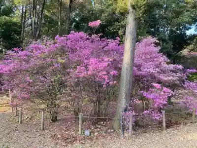 廣田神社(兵庫県)