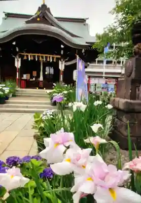 磐井神社(東京都)