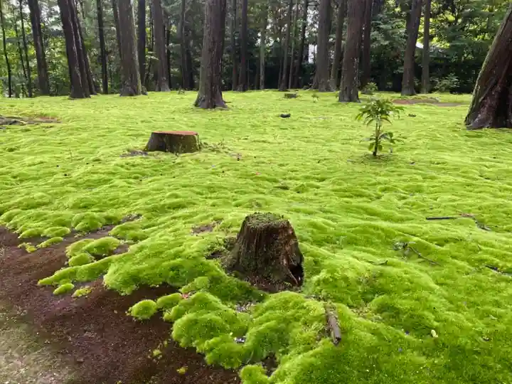 唐招提寺の庭園