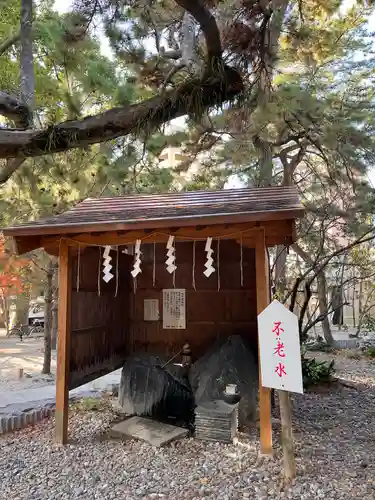 鳥飼八幡宮(福岡県)