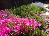 寿量山 速成寺の自然