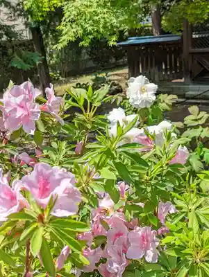 乙訓寺(京都府)