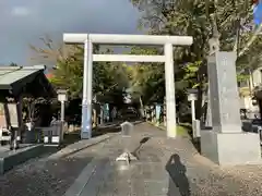 新琴似神社の鳥居