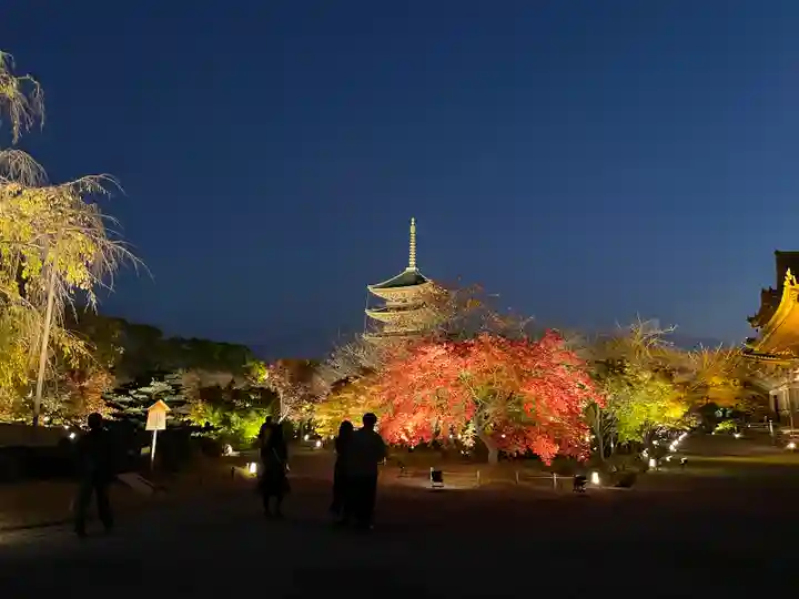 東寺(教王護国寺)(京都府)
