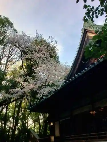 龍光寺(東京都)