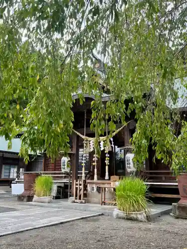 常陸第三宮　吉田神社の{uncategorized: "未分類", other: "その他", undefined: "問題あり", building: "その他建物", grave: "お墓", sacred_gate: "鳥居", guardian: "狛犬", statue: "像", buddha: "仏像", history: "歴史", nature: "自然", garden: "庭園", animal: "動物", pagoda: "塔", temizu: "手水舎", mountain_gate: "山門・神門", sanctuary: "本殿・本堂", subordinate: "末社・摂社", art: "芸術", scenery: "景色", jizo: "地蔵", ema: "絵馬", goshuin: "御朱印", omikuji: "おみくじ", items: "授与品その他", amulet: "お守り", goshuincho: "御朱印帳", eats: "食事", festival: "お祭り", votive_dance: "神楽", shichigosan: "七五三参", wedding: "結婚式", experience: "体験その他", initially: "初詣", around: "周辺", anti_infection: "感染症対策"}