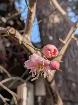 玄国寺(東京都)