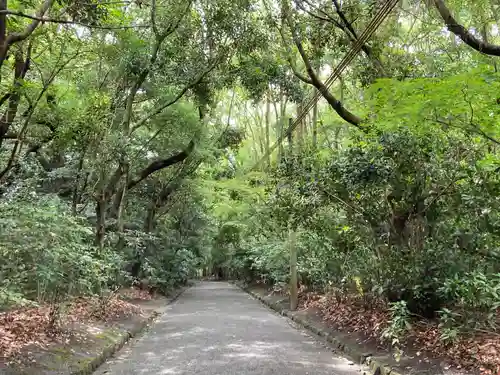宗像大社(福岡県)
